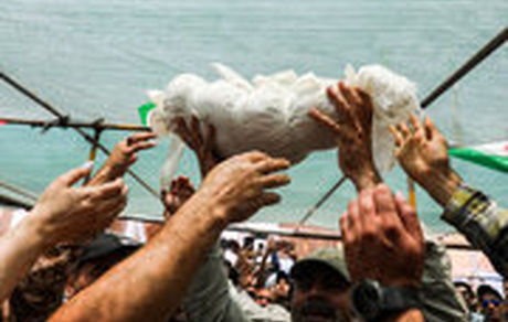 به روی دوش ملائک بخواب کودک من؛ شعری برای کودکان ایران در زمانه جنگ