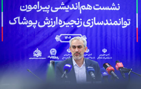 مدنی زاده: طرح ملی اعتبار ایرانیان اجرایی می شود