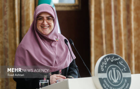 مهاجرانی: ۶۰ درصد درآمد طرح‌های مرزی صرف اشتغال‌زایی شد
