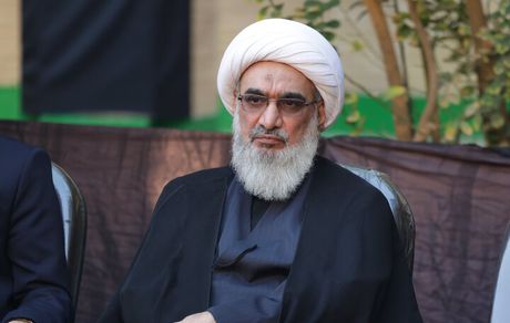 آیت الله صفایی بوشهری: آقای پزشکیان! توجه به فرهنگ راهبردی است
