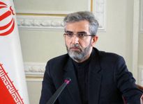 باقری‌کنی: مجازات متجاوزان ضامن صیانت از امنیت ملی است