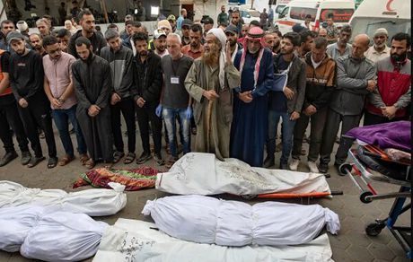 ثبت بالاترین آمار ماهانه شهدا در غزه
